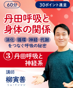 動画販売】丹田呼吸と身体の関係― 消化・循環・神経・代謝をつなぐ呼吸