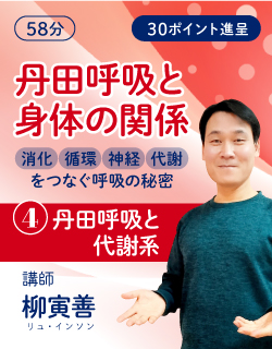【動画販売】丹田呼吸と身体の関係― 消化・循環・神経・代謝をつなぐ呼吸の秘密 　④丹田呼吸と代謝系